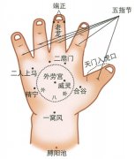 花都小兒推拿培訓|小兒推拿常用穴位：手掌部穴位