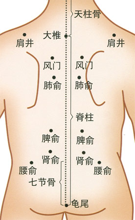 小兒推拿常用穴位：腰背部