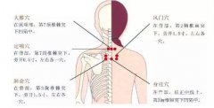花都小兒推拿培訓學校之衛氣營血辨證